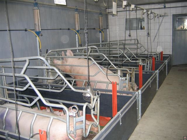 Troubelice 2006 038.jpg